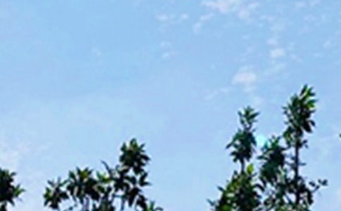 【熱門】2022年早安朋友圈問候語24句