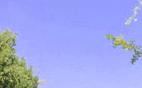 2021年溫馨的早安朋友圈問(wèn)候語(yǔ)23句