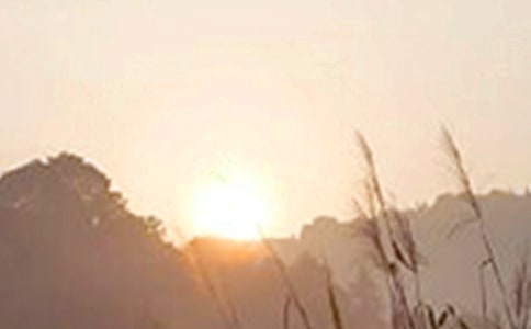 簡潔的每日一句早安朋友圈問候語22句