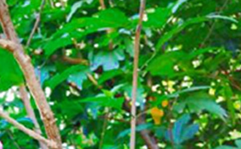 2022年精選溫馨的早安心語(yǔ)朋友圈匯編36句