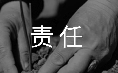 有關(guān)安全責(zé)任承諾書(shū)(11篇)