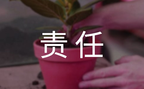 個人責(zé)任承諾書范文(精選14篇)