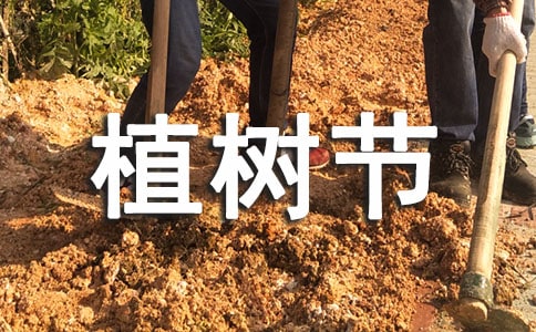 3.12植樹節(jié)活動策劃書