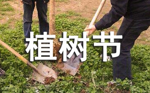 大班植樹節(jié)的活動教案(精選15篇)
