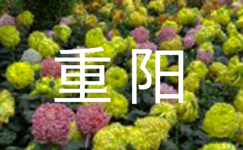 中班重陽(yáng)的活動(dòng)方案(集合15篇)