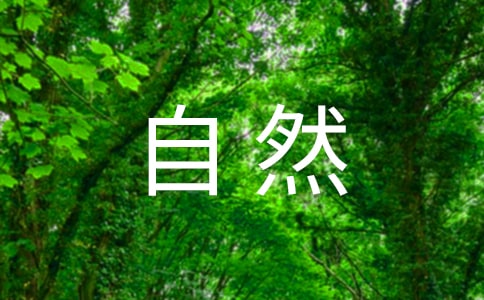 關(guān)于自然現(xiàn)象霧作文300字9篇