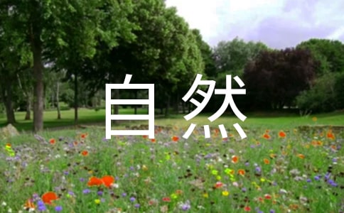 《亞洲自然環(huán)境》教學(xué)設(shè)計(jì)范文