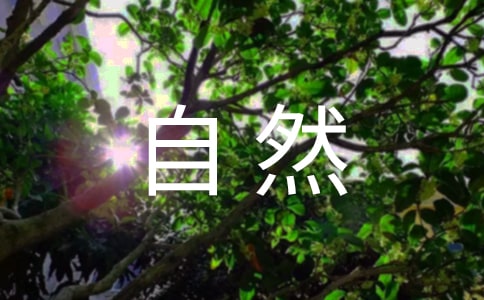 2022年自然人獨資股東決定