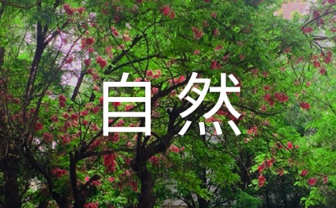 小學(xué)敬畏自然教案